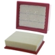 Air Filter by PUREZONE OIL & AIR FILTERS - 9-46253 03